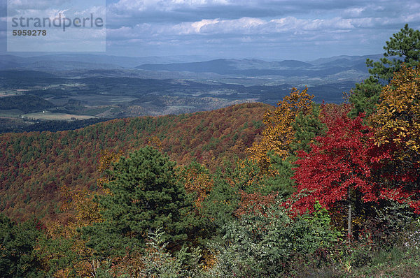 Bäume im Herbst Farben mit landwirtschaftlichen Flächen im Hintergrund in Blue Ridge Parkway  Virginia  Vereinigte Staaten von Amerika  Nordamerika