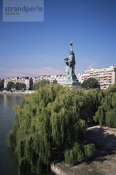 Statue von Liberty  Paris  Frankreich  Europa