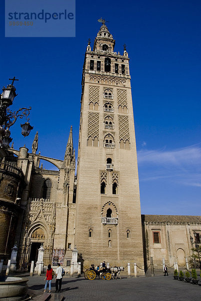 Kathedrale von Sevilla  Andalusien  Spanien  Europa