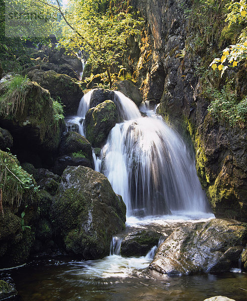 Lordor Cascade  Borrowdale  Seenplatte  Cumbria  England  Vereinigtes Königreich  Europa