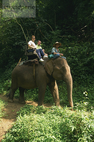 Touristen fahren auf einem Elefanten an der Chiang Dao Elephant Training Centre in Chiang Mai  Thailand  Südostasien  Asien