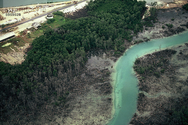 Umweltverschmutzung in Kalimantan  Insel Borneo  Indonesien  Südostasien  Asien