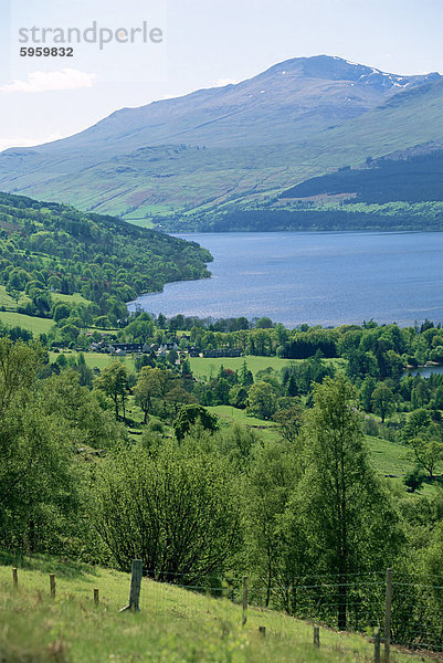 Blick auf Loch Tay und Ben Lawers  Tayside  Schottland  Vereinigtes Königreich  Europa