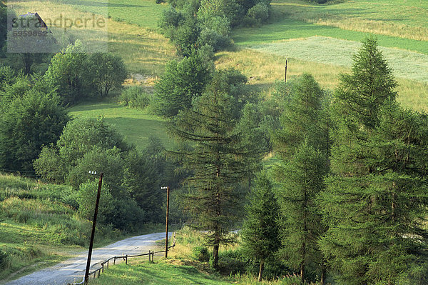 Lane nahe der polnischen Grenze  in der Nähe von Zdiar  Hohe Tatra  Slowakei  Europa