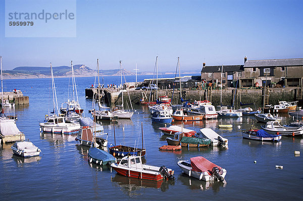 Boote im Hafen  Lyme Regis  Dorset  England  Vereinigtes Königreich  Europa