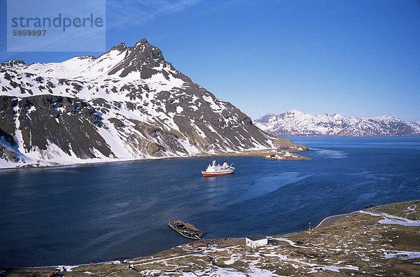 Mit Blick auf Grytviken und King Edward Point  Südgeorgien  Süd-Atlantik  Polarregionen
