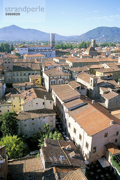 Ansicht Süden von Guinici Turm der Dächer der Stadt und der Kathedrale von Lucca  Toskana  Italien  Europa