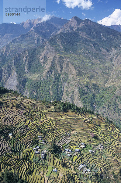 Terrassenförmig angelegten Felder im oberen Trisuli-Tal  über dem Dorf von Bharku  Trisuli  Himalaya  Nepal  Asien