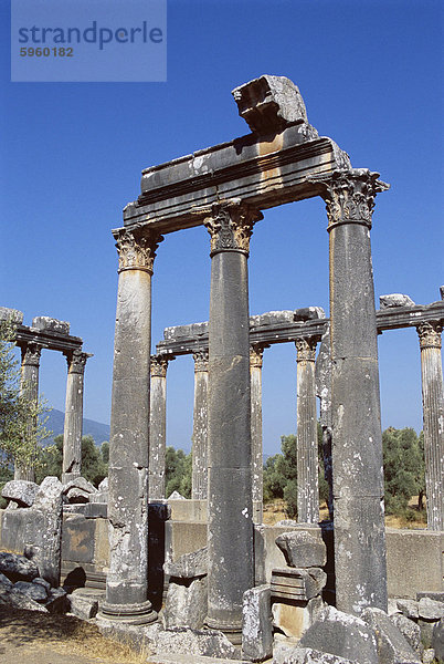 Ruinen von Ausgrabungsstätte  Euromos  in der Nähe von Bodrum  Anatolien  Türkei  Kleinasien