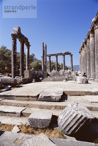 Ruinen der Tempel des Zeus  Ausgrabungsstätte  Euromos  in der Nähe von Bodrum  Anatolien  Türkei  Kleinasien