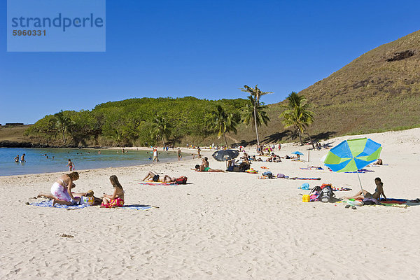 Strand Baum weiß Sand Chile Südamerika
