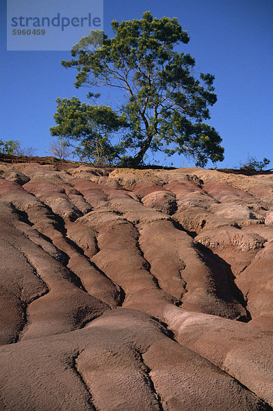 Wasserrinne Erosion des  Kauai  Hawaii  Vereinigte Staaten von Amerika  Pazifik  Nordamerika