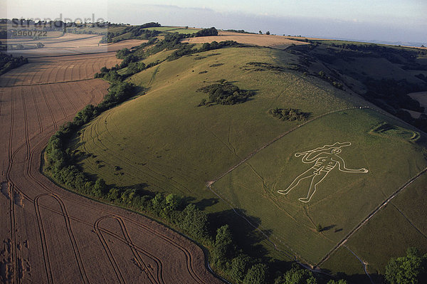 Luftbild von Cerne Abbas Riese  Dorset  England  Vereinigtes Königreich  Europa