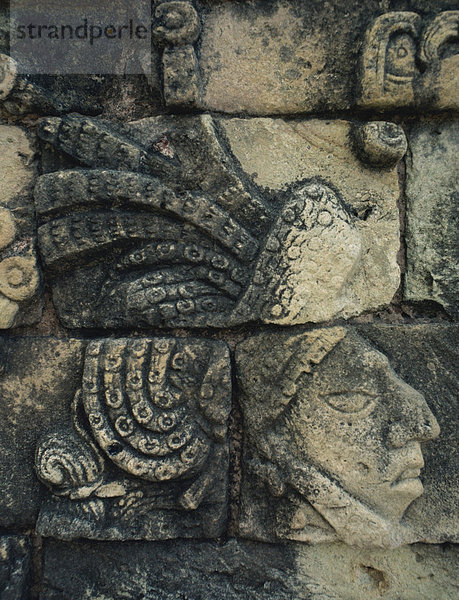 Detail der Maya-Stein schnitzen in Tikal  UNESCO World Heritage Site  Guatemala  Zentralamerika