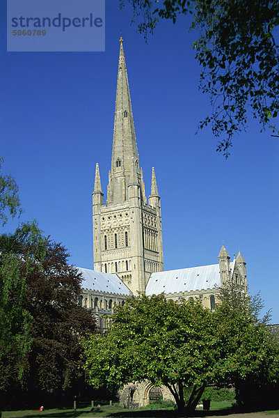 Dom-Turm  Norwich  Norfolk  England  Vereinigtes Königreich  Europa