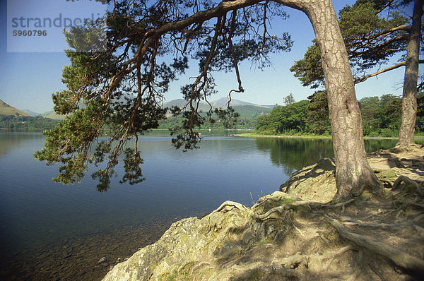 Derwent Water  Lake District-Nationalpark  Cumbria  England  Vereinigtes Königreich  Europa