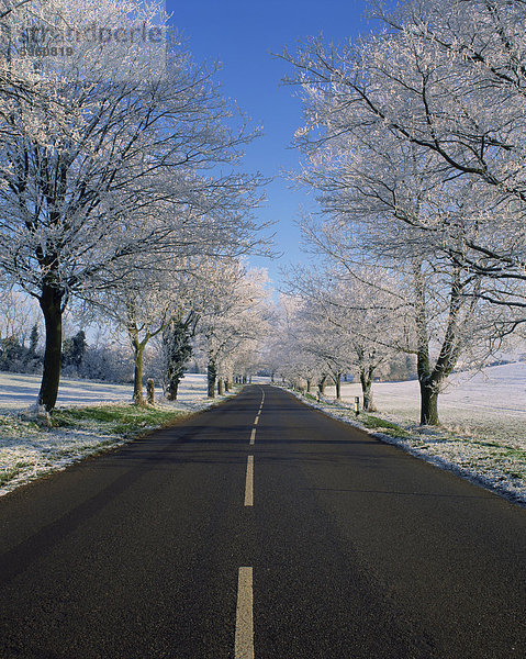 Gerade leere Straße durch ländlichen Lincolnshire im Winter  England  Vereinigtes Königreich  Europa
