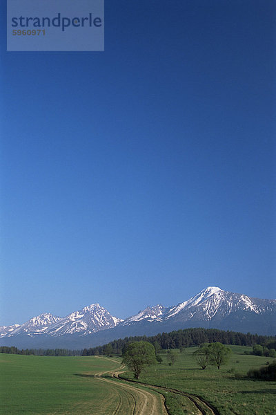 Hohe Tatra-Gebirge in der Nähe von Poprad  Slowakei  Europa