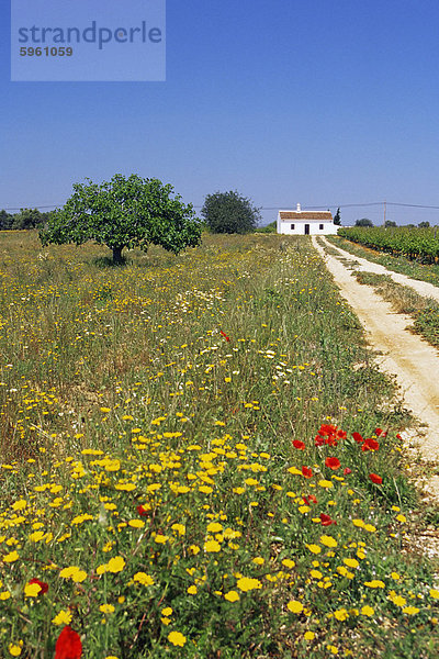 Europa Algarve Portugal