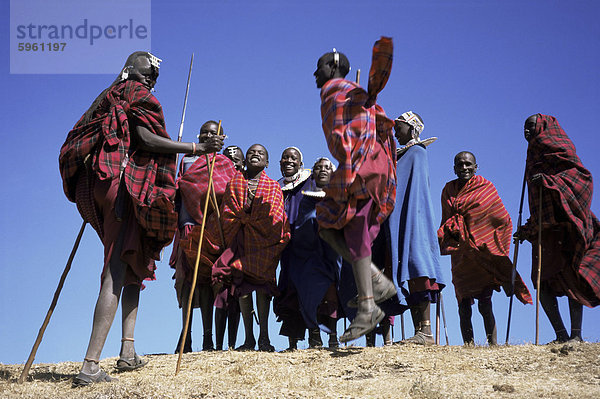 Masai Krieger durchführen  springen tanzen  Serengeti-Park  Tansania  Ostafrika  Afrika