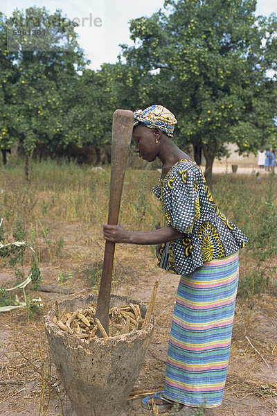 Stampfen Hirse Mehl  in der Nähe von Banjul in Gambia  Westafrika  Afrika