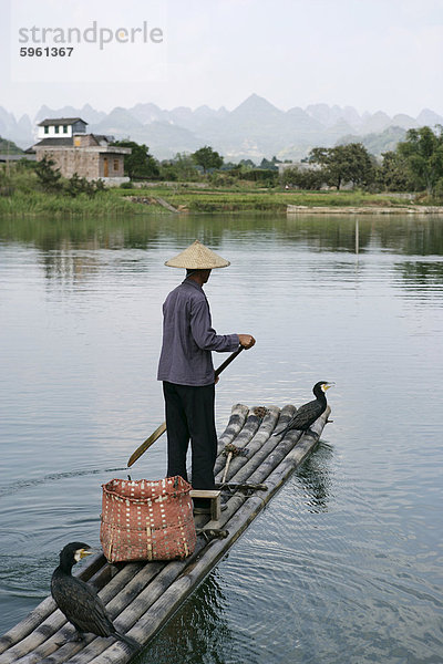 Fischer mit Kormoranen  Yangshuo  Li Fluss  Provinz Guangxi  China  Asien