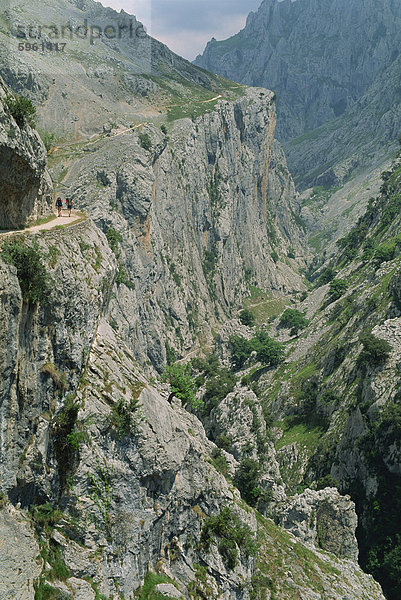 Wanderer auf einer schmalen Bergstraße oberhalb der Schlucht kümmert  1000m Tiefe  12 km-Kalkstein-Schlucht  im Picos de Europa Gebirge in Kantabrien  Spanien  Europa