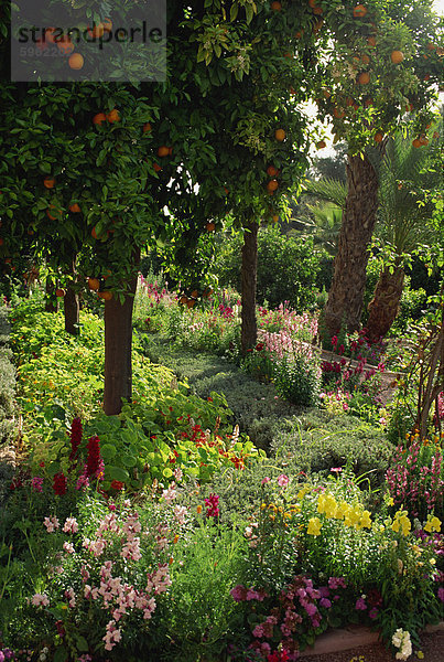 Garten von La Mamounia Hotel  Marrakesch  Marokko  Nordafrika  Afrika