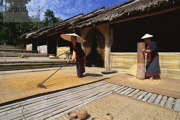 Bidayu Langhaus  Kulturdorf  Sarawak  Malaysia  Südostasien  Asien