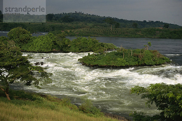 Bujagali Falls  in der Nähe von Kampala  Uganda  Ostafrika  Afrika