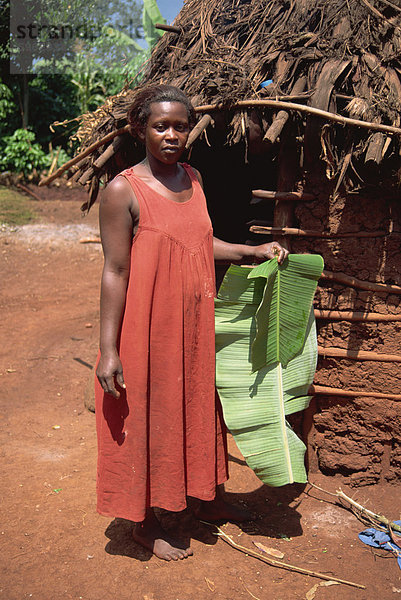 Frau mit Bananenblatt als Platte oder die Arbeitsfläche  Uganda  Ostafrika  Afrika verwenden