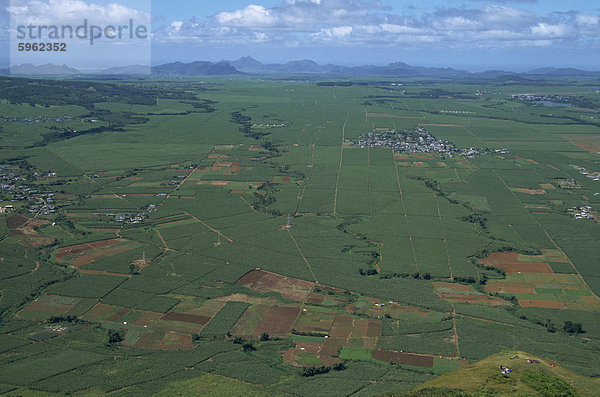 Zuckerrohrfeldern aus Le Puce Gipfel  Port Louis  Mauritius  Afrika