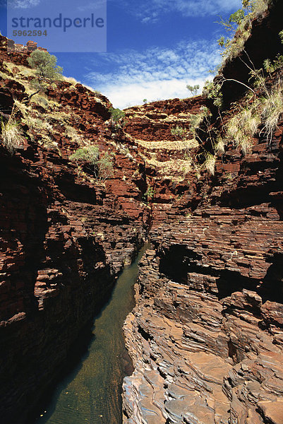 Hancock Gorge  Karijini-Nationalpark  Pilbara  Westaustralien  Australien  Pazifik