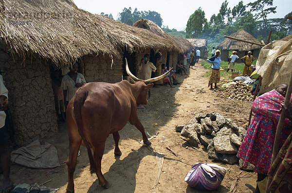 BSE herumlaufen Markt Stände  Uganda  Ostafrika  Afrika