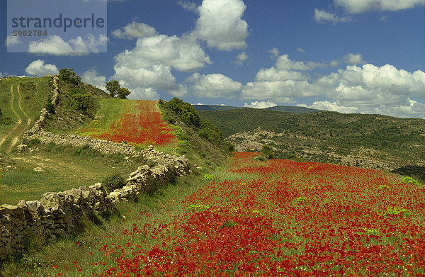 Landschaft in der Nähe von Teruel  Maestrazgo  Aragon  Spanien  Europa