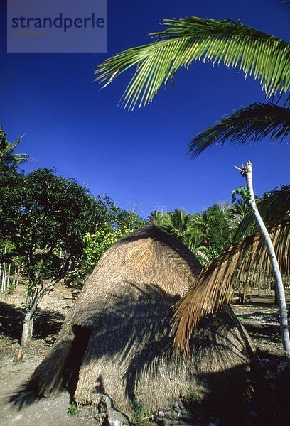 Traditionelle konischen Hütte in Stadt von Soe  West-Timor  Südostasien  Asien