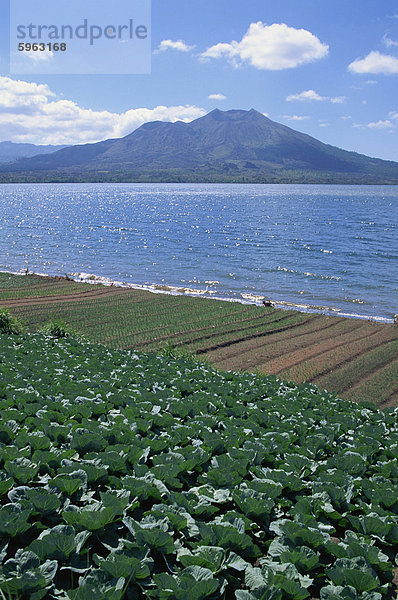 Kintamani  Batur See  Bali  Indonesien  Südostasien  Asien