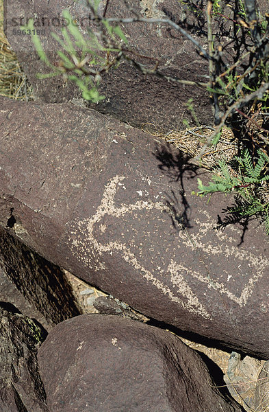 Vogel pickte in Wüste Lack aus Vulkangestein zwischen 900 und 1300AD  drei Flüsse Petroglyph Site  Alamagordo  New Mexico  Vereinigte Staaten von Amerika  Nordamerika