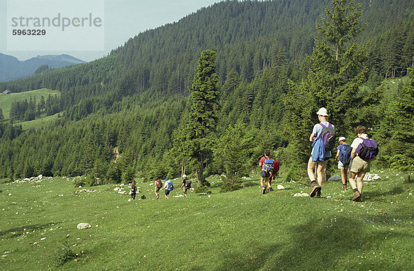 Piatra Craiului Gebirge  Karpaten  Siebenbürgen  Rumänien  Europa