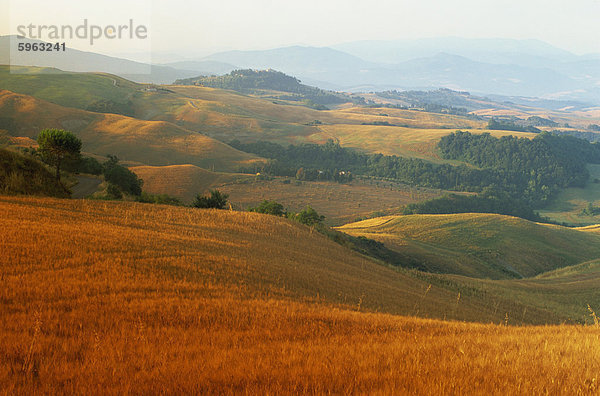 Blick über landwirtschaftliche Landschaft bei Sonnenaufgang  Volterra  Toskana  Italien  Europa