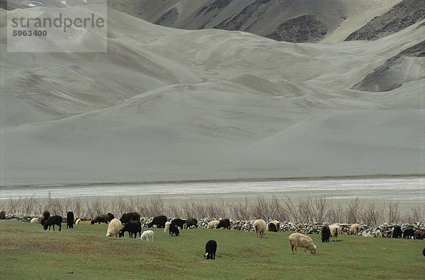 Landschaft von der Karakorum Highway  Xinjiang  China  Asien