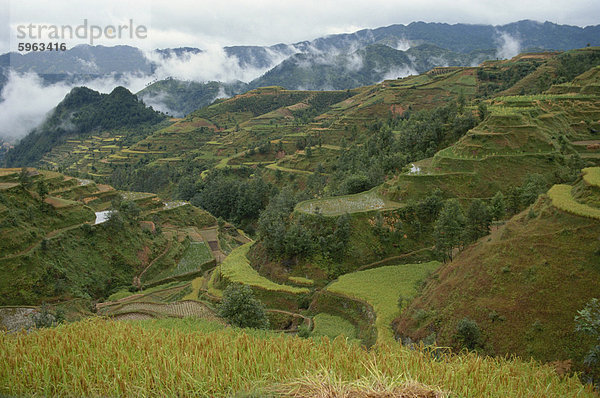 Abtreppung in Guizhou  Guizhou  China  Südostasien