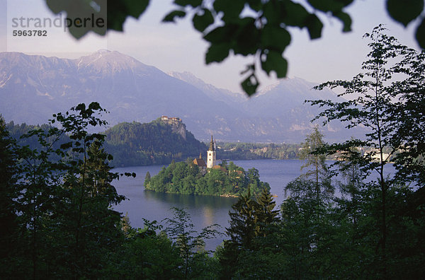 Lake Bled  Slowenien  Europa