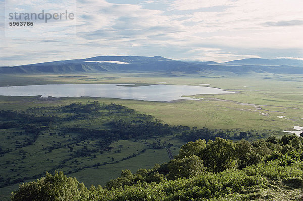 Ngorongoro Krater  UNESCO World Heritage Site  Tansania  Ostafrika  Afrika