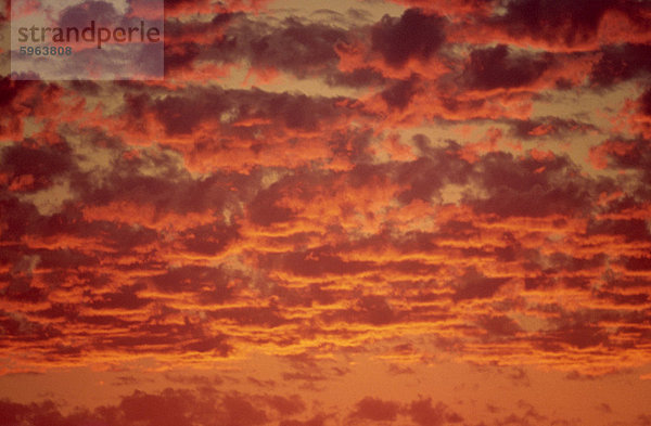 Rot und orange Wolken bei Sonnenuntergang in Südafrika  Afrika