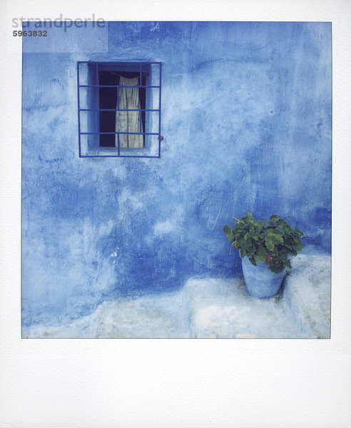 Storchschnäbel Nordafrika Rabat Hauptstadt Wand blau streichen streicht streichend anstreichen anstreichend Afrika Marokko Polaroid Rabat