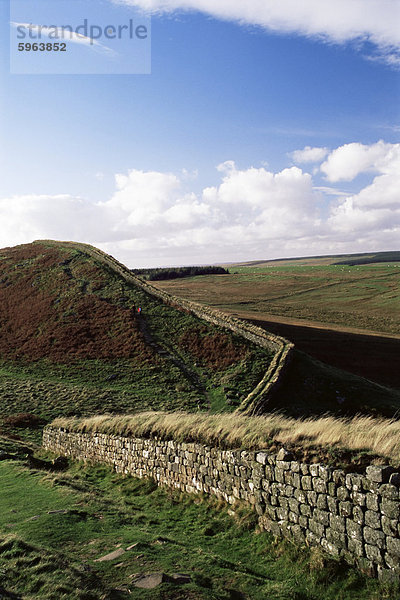 Römische Mauer  Steelrigg  Hadrianswall  UNESCO World Heritage Site  Northumbria  England  Vereinigtes Königreich  Europa