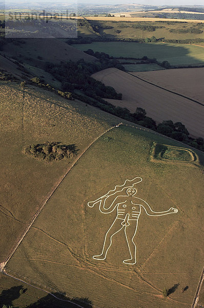 Luftbild des Cerne Abbas Riese  Dorset  England  Vereinigtes Königreich  Europa