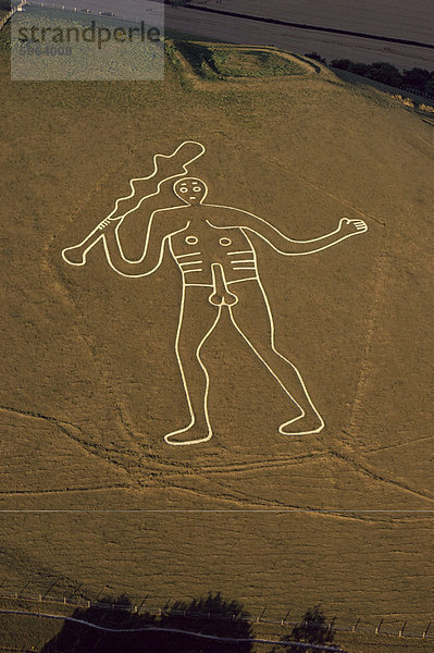 Luftbild des Cerne Abbas Riese  Dorset  England  Vereinigtes Königreich  Europa