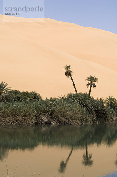 um El Ma See  Erg Awbari  Sahara Wüste  Fessan  Libyen  Nordafrika  Afrika